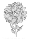 Load image into Gallery viewer, Creative Coloring Botanicals
