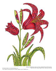 Creative Coloring Botanicals