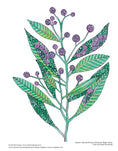 Load image into Gallery viewer, Creative Coloring Botanicals
