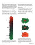 Load image into Gallery viewer, Jackie Shaw's Learn to Paint Fruits & Vegetables
