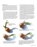 Load image into Gallery viewer, Jackie Shaw's Learn to Paint Fruits & Vegetables
