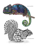 Load image into Gallery viewer, TangleEasy Wildlife Designs
