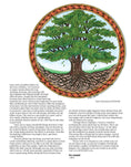 Load image into Gallery viewer, TangleEasy Meaningful Mandalas and Sacred Symbols

