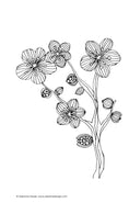 Load image into Gallery viewer, Color Zen Coloring Book
