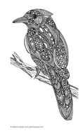 Load image into Gallery viewer, Color Calm Coloring Book
