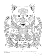 New Guide to Coloring for Crafts, Adult Coloring Books, and Other Coloristas!