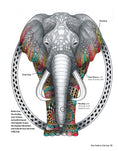 Load image into Gallery viewer, New Guide to Coloring for Crafts, Adult Coloring Books, and Other Coloristas!
