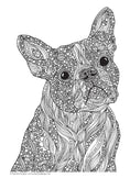Load image into Gallery viewer, Ultimate Coloring Book Treasury
