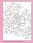 Load image into Gallery viewer, Seek, Color, Find Cheerful Words and Sayings
