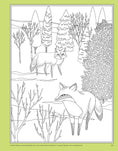 Load image into Gallery viewer, Seek, Color, Find Nature
