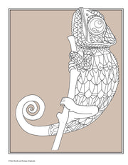 Color This! Birds & Animals Coloring Book