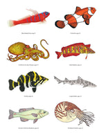Wild Oceans Coloring Book