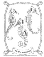 Wild Oceans Coloring Book