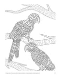 Load image into Gallery viewer, Animal Friends (Filippo Cardu Coloring Collection)
