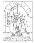 Load image into Gallery viewer, Fantasy Adventure Coloring Book
