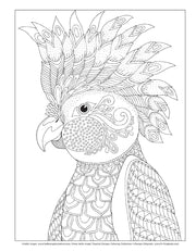 Hello Angel Tropical Escape Coloring Collection