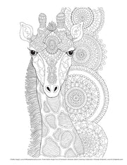 Hello Angel Fun & Fantastic Animals Adult Coloring Collection