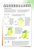 Load image into Gallery viewer, Watercolor Success in Four Steps

