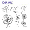 Load image into Gallery viewer, Hidden Language of Flowers
