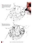 Load image into Gallery viewer, Learn to Draw Realistic Animals with Pen & Marker
