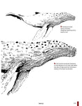 Load image into Gallery viewer, Learn to Draw Realistic Animals with Pen & Marker
