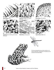 Learn to Draw Realistic Animals with Pen & Marker