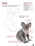 Load image into Gallery viewer, Learn to Draw Realistic Animals with Pen & Marker
