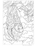 Load image into Gallery viewer, Hidden Animals Coloring Book
