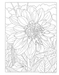 Load image into Gallery viewer, Joys of Nature Coloring Book

