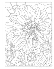 Joys of Nature Coloring Book