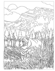 America the Beautiful Coloring Book