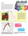Load image into Gallery viewer, Horses Coloring Book
