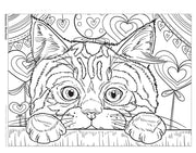 Cats & Kittens Coloring Book