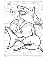Sharks and Ocean Creatures Coloring Book