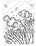 Load image into Gallery viewer, Sharks and Ocean Creatures Coloring Book
