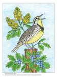 Load image into Gallery viewer, Birds at Home Coloring Book (Revised Edition)
