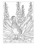 Load image into Gallery viewer, Birds at Home Coloring Book (Revised Edition)
