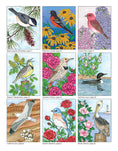 Load image into Gallery viewer, Birds at Home Coloring Book (Revised Edition)

