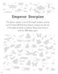 Load image into Gallery viewer, Super Cool Bugs and Spiders Coloring Book
