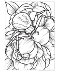Load image into Gallery viewer, Super Cool Bugs and Spiders Coloring Book
