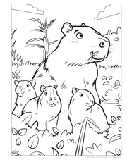 Great Amazon & Rainforest Coloring Book (with stickers)