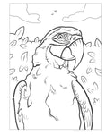 Load image into Gallery viewer, Great Amazon & Rainforest Coloring Book (with stickers)
