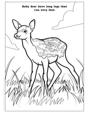 Bunnies, Ducks, and Baby Animals Coloring Book