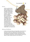 Load image into Gallery viewer, Self-Sufficiency: Beekeeping
