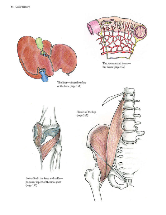 Complete Anatomy Coloring Book, Newly Revised and Updated Edition