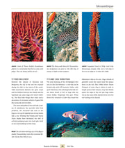 Dive Atlas of the World