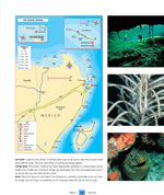 Dive Atlas of the World