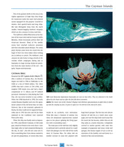 Dive Atlas of the World