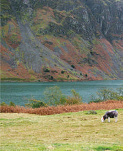 Cool Caravanning, Updated Second Edition