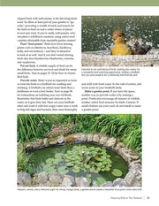 Birdhouses, Boxes & Feeders for the Backyard Hobbyist